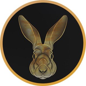 Pièce de monnaie en Argent 200 Francs g 1 Millésime 2023 Lunar Rabbit LUNAR RABBIT V1