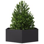 vidaXL Jardinière noir hexagone 138x120x45 cm acier