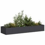 vidaXL Jardinière noir 280x80x40 cm acier