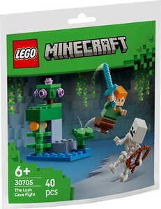 LEGO Minecraft - Attaque de la Grotte Luxuriante (Polybag) - 30705