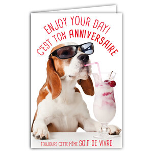 Carte Bon Anniversaire Humoristique avec Enveloppe Illustrée format 17 5x12cm Chien Drôle Amusant Rigolo avec des Lunettes de soleil et une Glace Cerises - Création Fabrication française 69-6208
