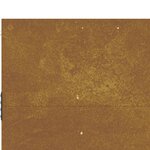 vidaXL Portail de jardin 85x100 cm acier corten