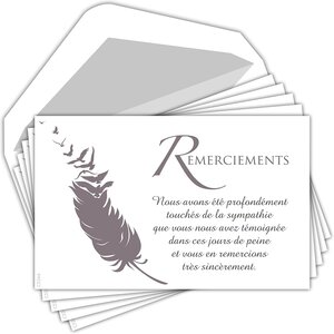 Lot 5 cartes remerciements condoléances +5 enveloppes blanches format 9x14cm