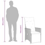 vidaXL Lot de 2 chaises de jardin inclinables avec coussins en résine tressée grise