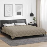vidaXL Duvet d'hiver Gris clair 200 x 200 cm Microfibre
