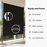 vidaXL Store roulant d'extérieur 150 x 270 cm Anthracite