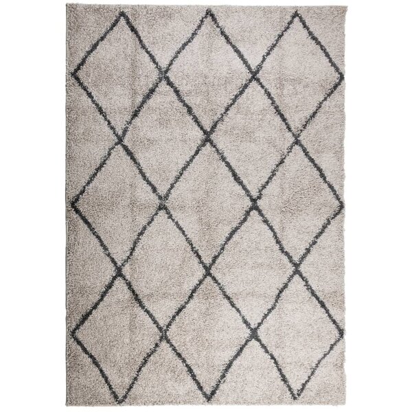 vidaXL Tapis shaggy à poils longs moderne beige anthracite 160x230 cm