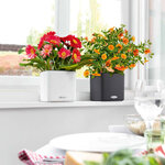 Lechuza jardinière de table cube color 16 all-in-one anthracite