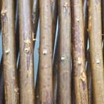 Nature Treillis de jardin 60x180 cm saule naturel marron