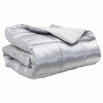 vidaXL Duvet d'hiver Argenté 200 x 135 cm Satin et Microfibre