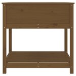 vidaXL Jardinière avec étagère Marron miel 82 5x82 5x81 cm Bois de pin