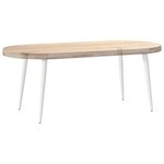 vidaXL Pieds de table basse coniques 4 pièces Blanc 42-43 cm Acier