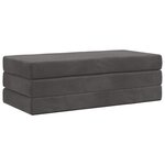 vidaXL Canapé-lit pliable 120 x 67 x 45 cm Gris foncé