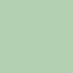 Ramette 250 Feuilles Papier 210g A4 210x297 mm Certifié FSC Vert TROPHÉE