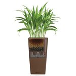 Lechuza jardinière cubico color 40 all-in-one muscade 13151