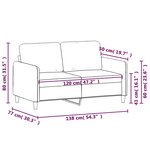 vidaXL Canapé à 2 places Gris foncé 120 cm Velours