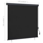 vidaXL Store roulant d'extérieur 170 x 250 cm Anthracite