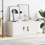 vidaXL Armoire de rangement Blanc 80 x 40 x 40 cm Acier