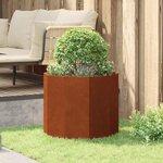 vidaXL Jardinière Rouillé 60 x 60 x 50 cm