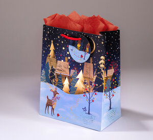 Sac cadeau clair de lune mmpml 17,5 x h 23