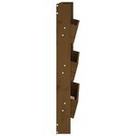 vidaXL Jardinière murale 3 niveaux 60x18 5x110 cm brun miel pin massif