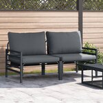 vidaXL Mobilier de jardin avec coussin 2 Pièces Anthracite Acier