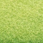 vidaXL Paillasson lavable Vert 120x180 cm