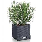 Lechuza jardinière de table cube color 14 all-in-one anthracite