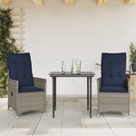 vidaXL Lot de 2 chaises de jardin inclinables avec coussins en résine tressée grise