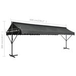 vidaXL Auvent sur pied 600 x 300 cm Anthracite