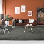 NEO YOGA Tapis de salon ou chambre - Microfibre extra doux - 225 x 340 cm - Gris foncé