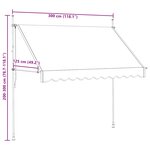 vidaXL Auvent manuel rétractable 300 cm Anthracite