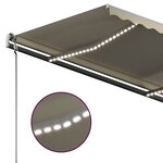 vidaXL Auvent manuel rétractable avec LED 300x250 cm Crème