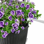 LECHUZA Jardinière suspendue NIDO Cottage 28 ALL-IN-ONE Granite