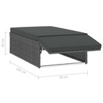 vidaXL Salon de jardin 2 Pièces avec coussins Résine tressée Gris