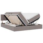 vidaXL Lit de Rangement 2 pièces Taupe Cuir synthétique