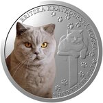 Pièce de monnaie en Argent 1 Dollar g 31.1 (1 oz) Millésime 2024 Cat Breeds BRITISH SHORTHAIR