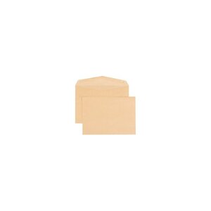 Lot de 250 Enveloppes administratives,275 x 365 mm, kraft brun sans fenetre