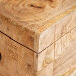 vidaXL Boîte de rangement avec stockage Marron Bois de mangue massif