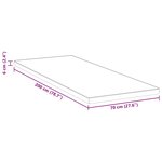 vidaXL Coussins de Matelas Blanc et Bleu 70 x 200 cm