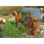 2 euros commémorative Malte 2026 coffret BU - Le lévrier pharaon.