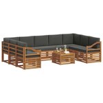 vidaXL Ensemble de canapés d'extérieur 10 pc Naturel et Anthracite