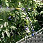 vidaXL Pots de jardin Noir 120 x 40 x 37.5 cm Acier