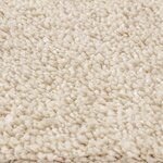 Tapis Shaggy avec dos en latex Crème 200x200 cm