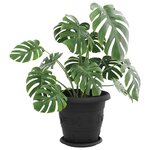 vidaXL Plateau à fleurs rond 24 Pièces Noir Ø 19 x 2 cm Plastique