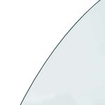 vidaXL Plaque en verre de cheminée Transparent 1200 x 600 mm Verre
