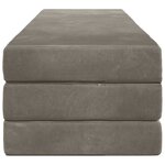 vidaXL Canapé-lit pliable 200 x 67 x 45 cm Gris clair