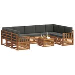 vidaXL Ensemble de canapés d'extérieur 10 pc Naturel et Anthracite