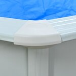 vidaXL Piscine avec échelle de sécurité 460x120 cm