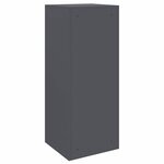 vidaXL Boîte de dépôt de colis Anthracite 41 x 38 x 103 cm Acier